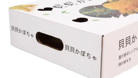 China Sistema de Monitoramento Remoto Caixas Webber com Knock Down Loading Home Furniture Network Cabinet